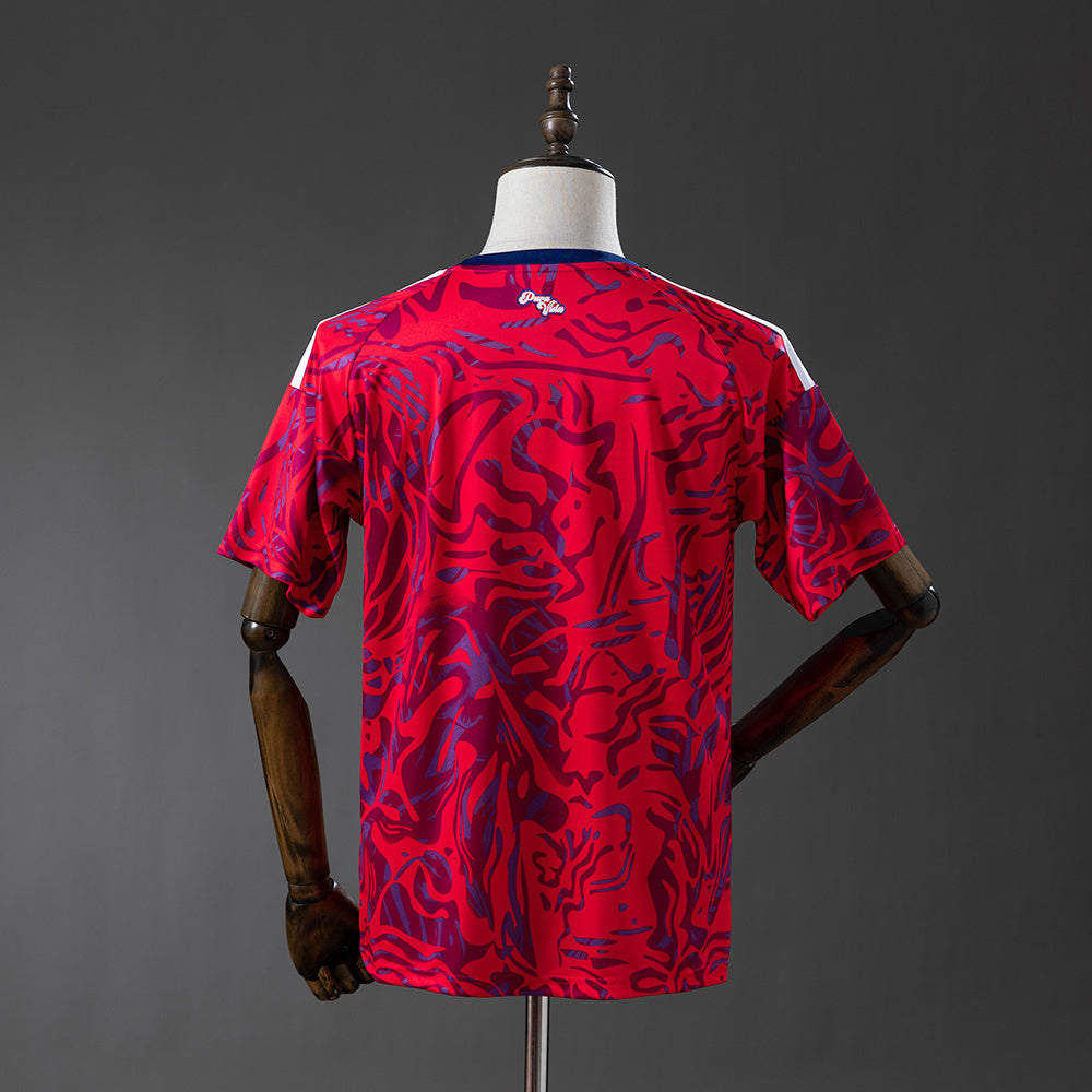 Maillot Costa Rica Domicile 26/27