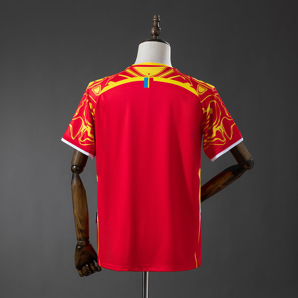 Maillot Congo Rouge 25/26
